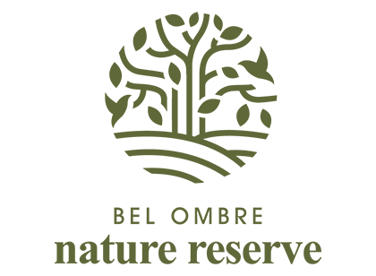 Bel Ombre Nature Reserve
