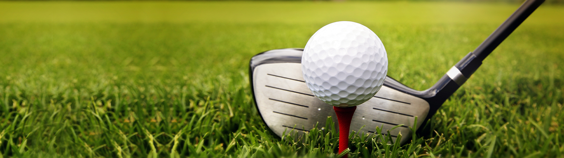 Investment solutions